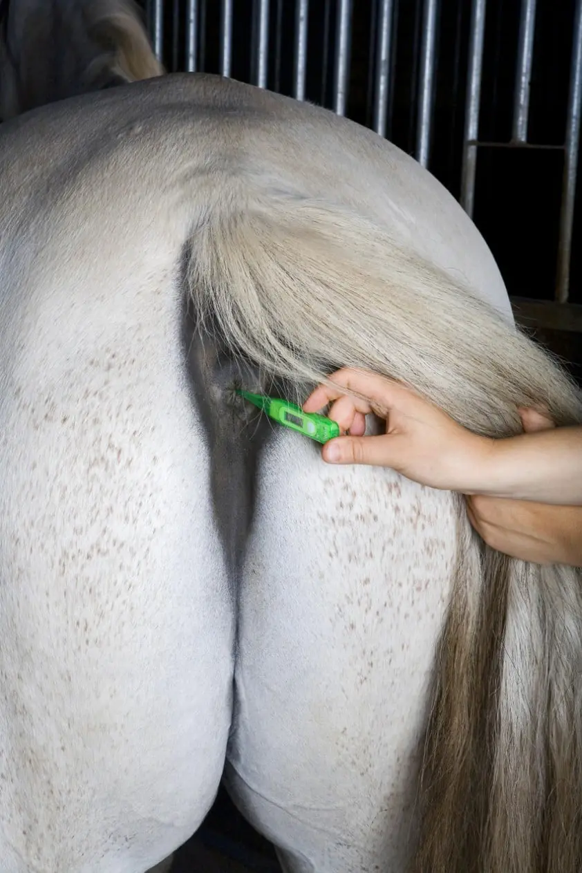 Afwijken van normaalwaarden is niet normaal featured image