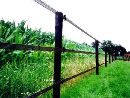 De juiste schrikdraadomheining van de wei featured image