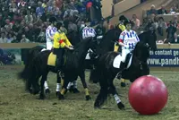 Landelijke competitie paardenvoetbal in ontwikkeling featured image