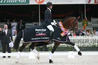 Zuidenwind Pavoa Cup