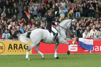 Andreas Helgstrand verlaat Blue Horse Stud featured image