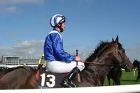 Paardenracespel als lesmateriaal in middelbaar onderwijs featured image