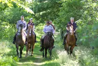 Nieuw routenetwerk voor ruiters en menners featured image