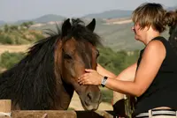 Eerste huisdierenbijsluiter overhandigd featured image