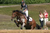 Start dressuur Military Boekelo featured image