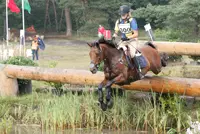 Vrolijk voorlopig beste Nederlander Boekelo featured image