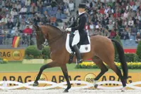 Weer succes voor Werth featured image