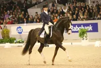 Briar Zweeds kampioen featured image