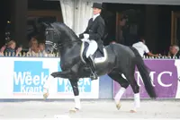 Moorland’s Totilas wint Grand-Prixdebuut featured image