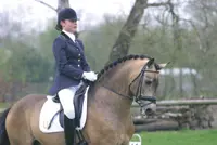 Power and Paint: kreupel of niet betaald featured image