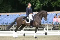 Laurens van Lieren met Laterna Laurens van Lieren Laterna