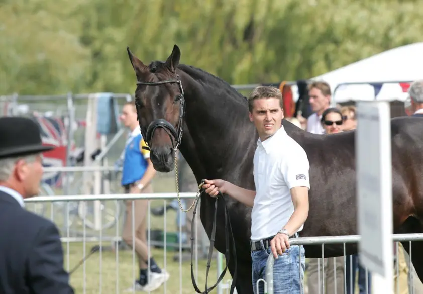Andreas Helgstrand voorlopig niet in Deens team featured image