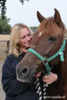 Annemarie van der Toorn Javi Horse Event