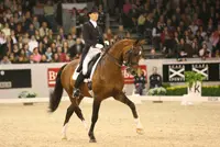 Olympisch paard Harmony’s Mythilus overleden featured image