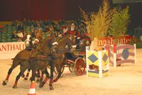 Koos de Ronde wint Bathmen te Paard featured image
