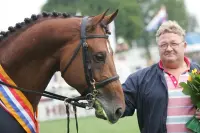 Tyson naar KWPN-hengstenkeuring featured image