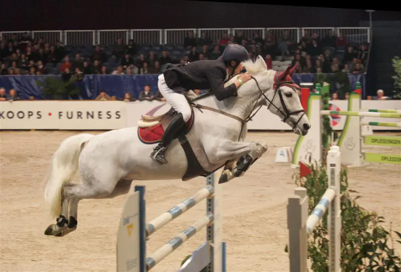 Britse zege in 1.45m rubriek in Oldenburg featured image