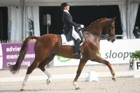 Gotenburg: Overtuigende kürwinst voor Cornelissen en Parzival featured image