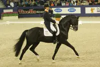 Gribaldi overleden featured image