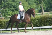 Subtop: ook lichte tour voor Madeleine Witte featured image