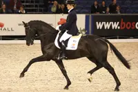 Subtop: Indoortitel ZZ-licht voor Madeleine Witte-Vrees en Wynton featured image