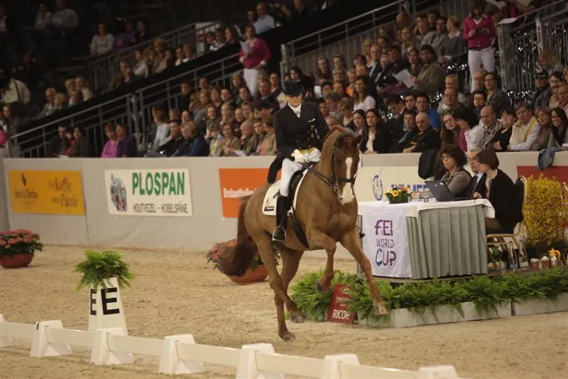 Carola Koppelmann en Deveraux winnen GP-kür op ICNN Drachten featured image