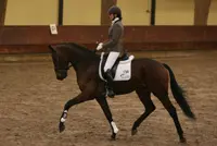 Borencio en Avanti grootste talenten Horsefood dressuurcompetitie featured image