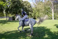 Nieuw format voor wereldbeker eventing featured image