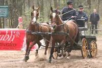 Twee districtstitels voor James Bont jr. featured image