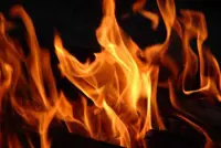Paard omgekomen bij brand in Schilde featured image