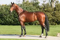 Nieuwe röntgenfoto’s van Eldorado featured image