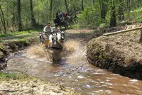 Gemeenten lanceren website paardentoerisme featured image