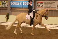 Saumur: Te Riele op herhaling featured image