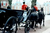Presentatie paarden koningin op Paleis het Loo featured image
