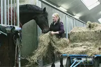 Maagzweren een onderschat probleem featured image