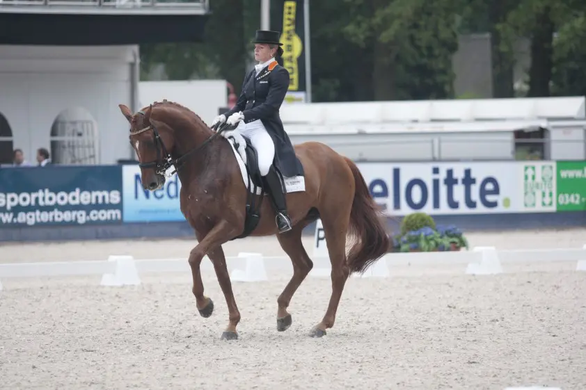 Isabella B en Juranja IBOP-toppers in Eemnes featured image