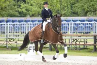 Outdoor Gelderland: Dressuurruiters klagen over bijring featured image