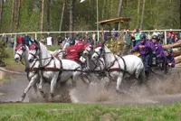Altenfelden: Brons voor Weusthof featured image