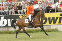 Okidoki overlijdt aan septische shock featured image