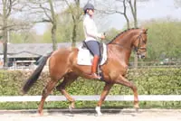 WK-selectie vijfjarigen aangewezen featured image