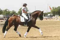 Pavo Cup: Sir Royal valt op featured image