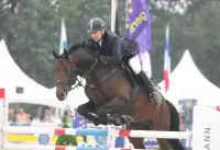 Speedy Gonzales gestolen, persoonsgerichte actie? featured image