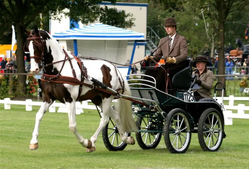 NK Mennen Enkelspan verplaatst featured image