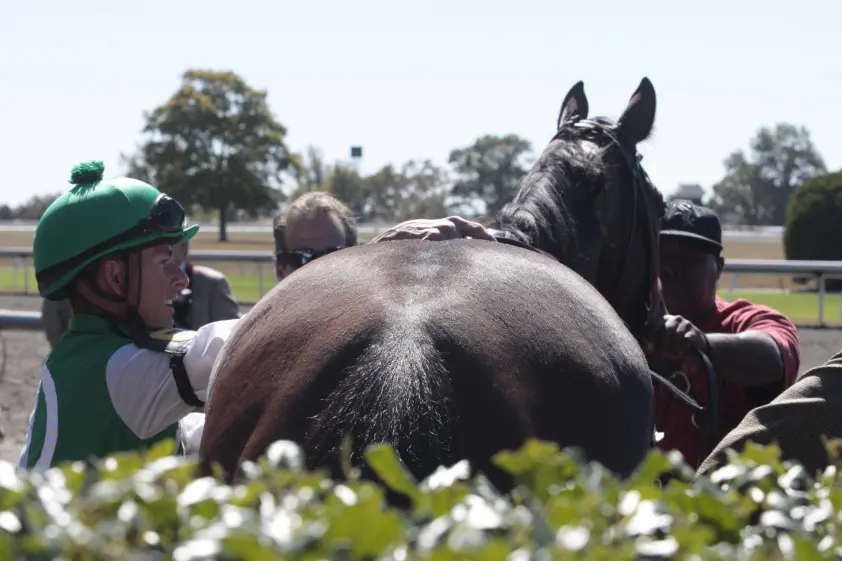 Topjockey Pat Eddery plotseling overleden featured image