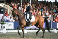 Laarakkers: ‘Mijn beste resultaat ooit’ featured image