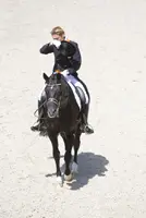 Tussen tien en vijftien miljoen voor Totilas featured image