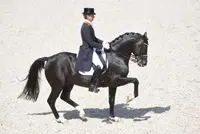 Sjef Janssen: ‘We zijn ons beste paard kwijt’ featured image