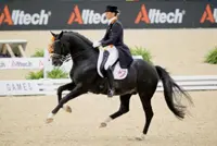 ‘Totilas is de Michael Jackson van de paarden’ featured image