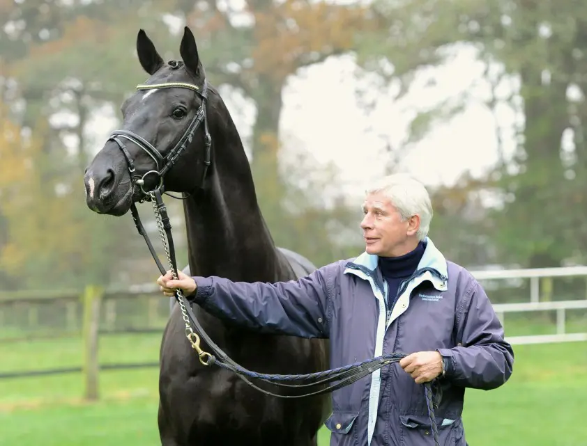 Hengsten Schockemöhle niet op WFFS getest featured image