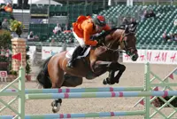 O’Brien maakt comeback in Luttenberg featured image